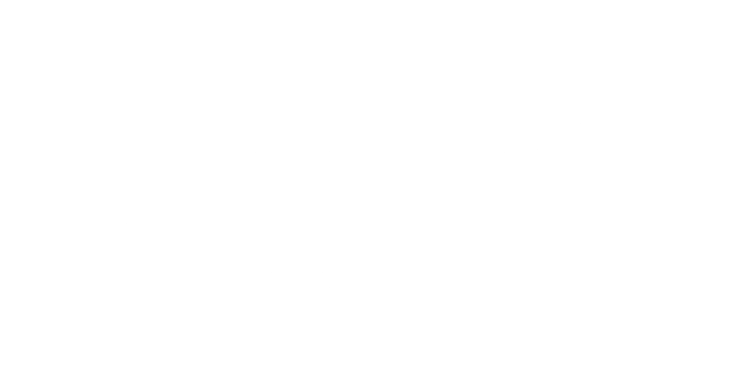 crs 02 copy (3)